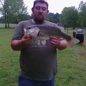 Meet your Posher, Walter